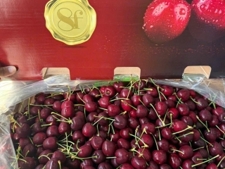  Trái cây nhập khẩu thủ đức  Siêu ngon giòn ngọt đậm vị  2.5kg bao ngon Chery xá 