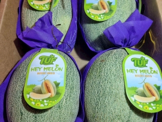 Khám phá vị ngọt và tươi mát của dưa TUF nặng kg giòn ngọt