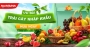 chuyên sỉ trái cây thủ đức