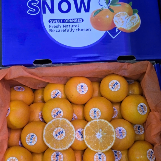 Quýt thùng snow 